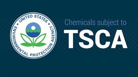 Amazon Gerekçesi: TSCA Bölümü 6 (h) kapsamında kalıcı, biyolojik olarak biriken ve toksik (PBT) kimyasallar